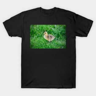 Chick / Swiss Artwork Photography T-Shirt
